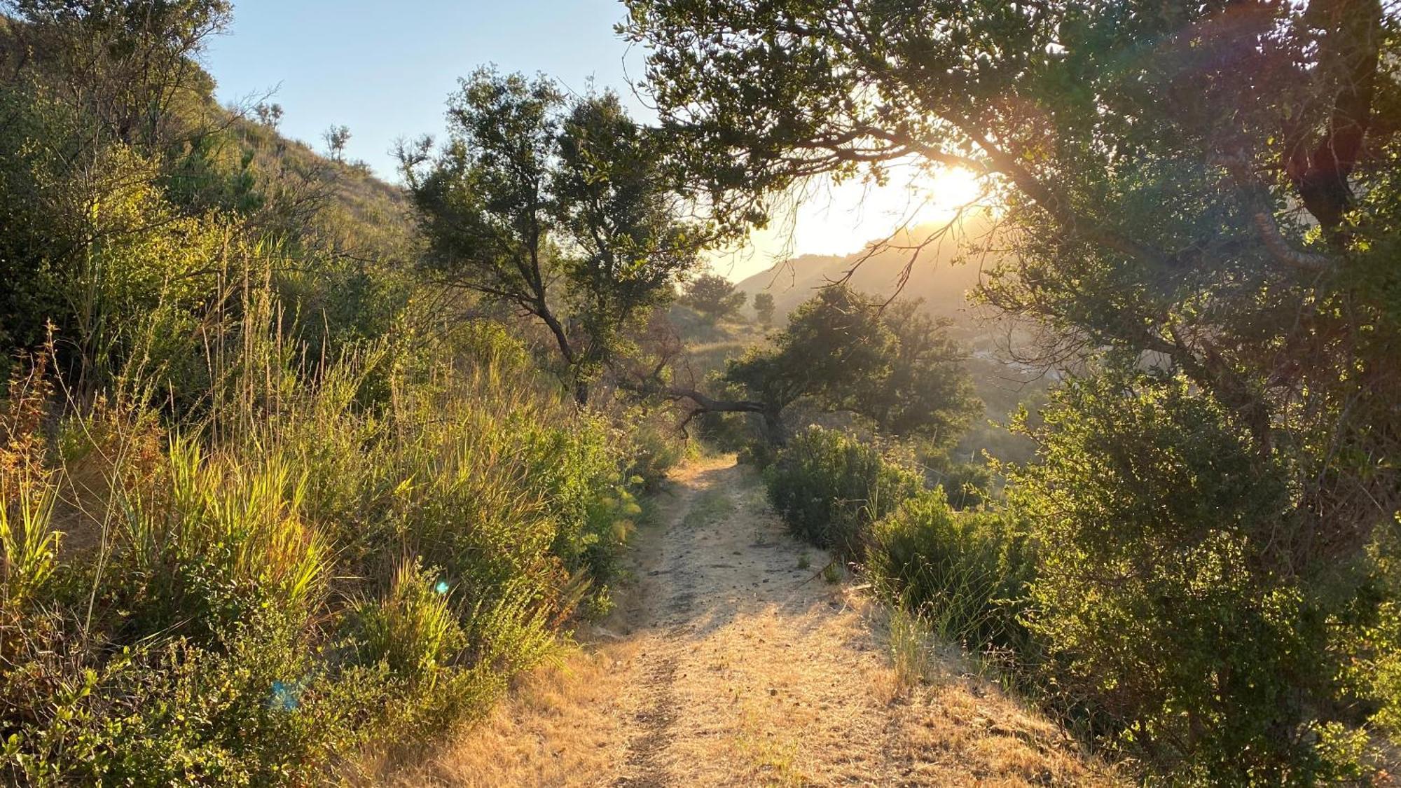 Malibu Ranch Guest House Hideway Eksteriør bilde